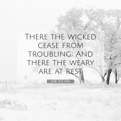 Picture 07 - Job 3:17 ASV - There the wicked cease from troubling; And there - Bible Verse Picture