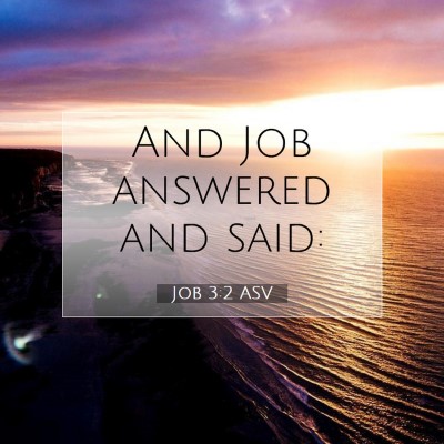 Picture 07 - Job 3:2 ASV - And Job answered and - Bible Verse Picture