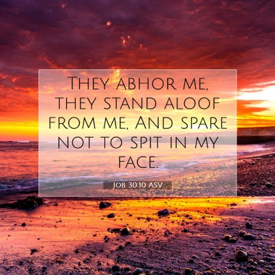 Picture 07 - Job 30:10 ASV - They abhor me, they stand aloof from me, And - Bible Verse Picture