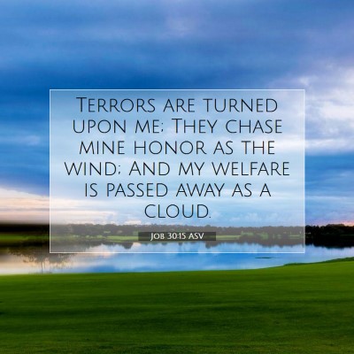 Picture 07 - Job 30:15 ASV - Terrors are turned upon me; They chase mine honor - Bible Verse Picture