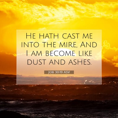 Picture 07 - Job 30:19 ASV - He hath cast me into the mire, And I am become - Bible Verse Picture