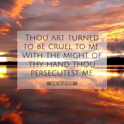 Picture 07 - Job 30:21 ASV - Thou art turned to be cruel to me; With the might - Bible Verse Picture