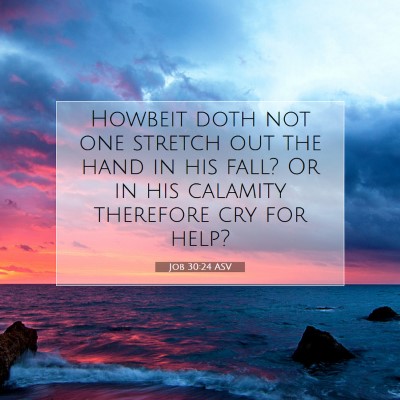 Picture 07 - Job 30:24 ASV - Howbeit doth not one stretch out the hand in his - Bible Verse Picture