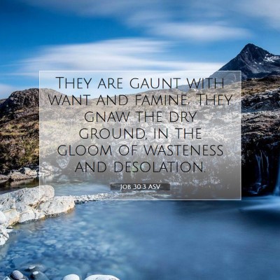 Picture 07 - Job 30:3 ASV - They are gaunt with want and famine; They gnaw - Bible Verse Picture