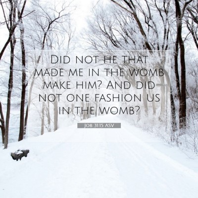 Picture 07 - Job 31:15 ASV - Did not he that made me in the womb make him? And - Bible Verse Picture