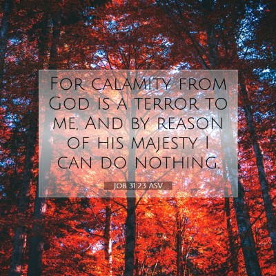 Picture 07 - Job 31:23 ASV - For calamity from God is a terror to me, And by - Bible Verse Picture