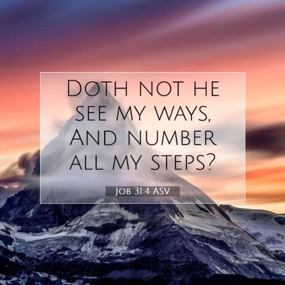 Picture 07 - Job 31:4 ASV - Doth not he see my ways, And number all my - Bible Verse Picture