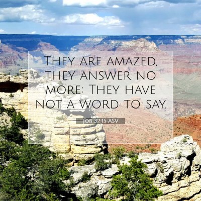 Picture 07 - Job 32:15 ASV - They are amazed, they answer no more: They have - Bible Verse Picture