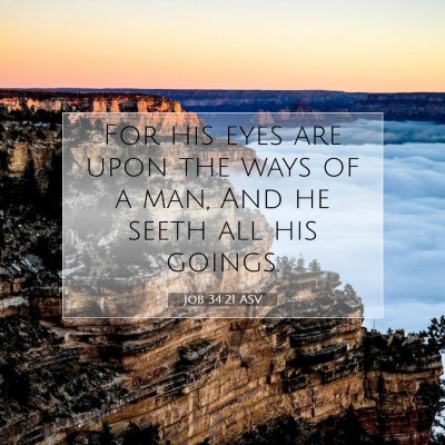 Picture 07 - Job 34:21 ASV - For his eyes are upon the ways of a man, And he - Bible Verse Picture
