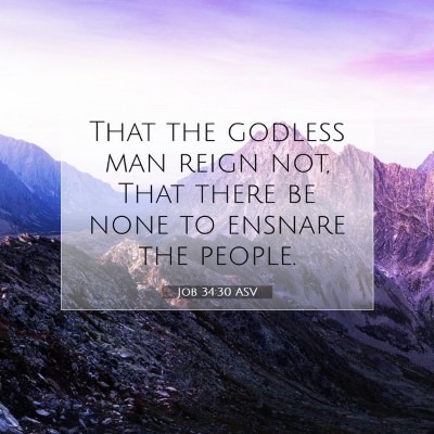 Picture 07 - Job 34:30 ASV - That the godless man reign not, That there be - Bible Verse Picture