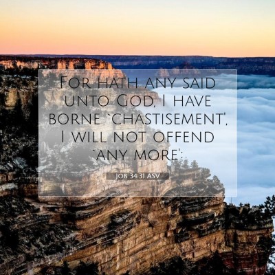 Picture 07 - Job 34:31 ASV - For hath any said unto God, I have borne - Bible Verse Picture
