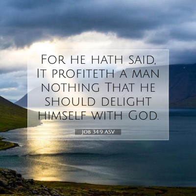 Picture 07 - Job 34:9 ASV - For he hath said, It profiteth a man nothing That - Bible Verse Picture