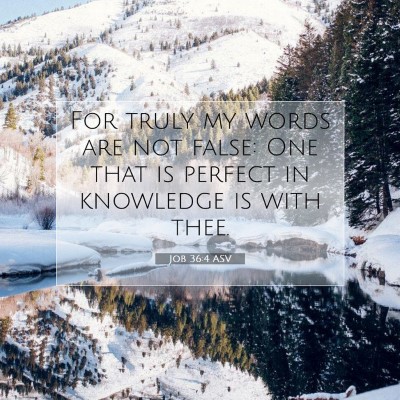 Picture 07 - Job 36:4 ASV - For truly my words are not false: One that is - Bible Verse Picture