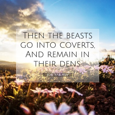 Picture 07 - Job 37:8 ASV - Then the beasts go into coverts, And remain in - Bible Verse Picture
