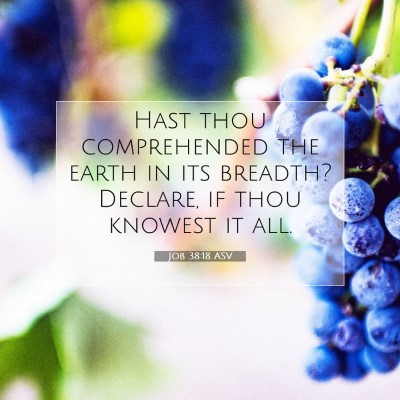 Picture 07 - Job 38:18 ASV - Hast thou comprehended the earth in its breadth? - Bible Verse Picture