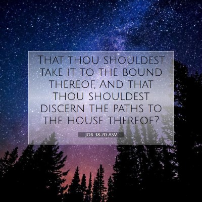Picture 07 - Job 38:20 ASV - That thou shouldest take it to the bound thereof, - Bible Verse Picture