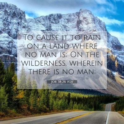 Picture 07 - Job 38:26 ASV - To cause it to rain on a land where no man is; On - Bible Verse Picture