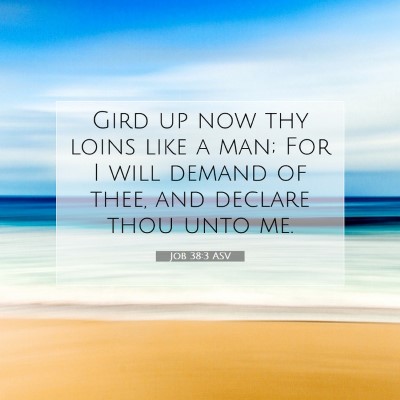 Picture 07 - Job 38:3 ASV - Gird up now thy loins like a man; For I will - Bible Verse Picture