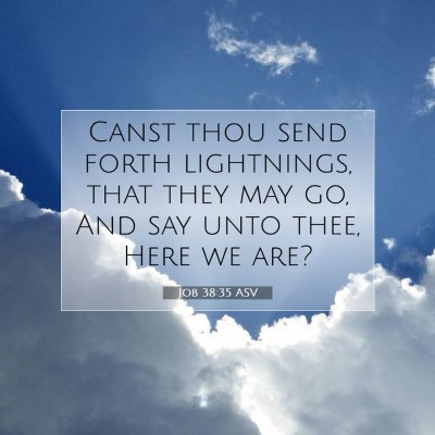 Picture 07 - Job 38:35 ASV - Canst thou send forth lightnings, that they may - Bible Verse Picture