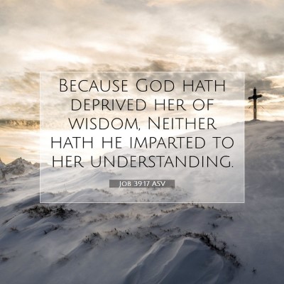 Picture 07 - Job 39:17 ASV - Because God hath deprived her of wisdom, Neither - Bible Verse Picture