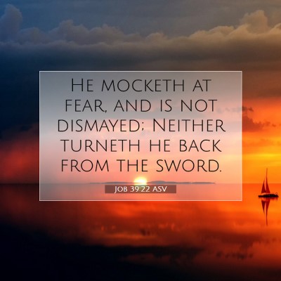 Picture 07 - Job 39:22 ASV - He mocketh at fear, and is not dismayed; Neither - Bible Verse Picture