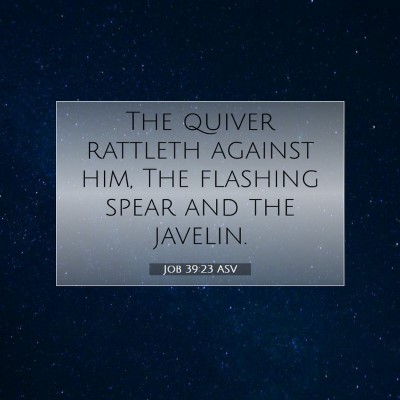 Picture 07 - Job 39:23 ASV - The quiver rattleth against him, The flashing - Bible Verse Picture