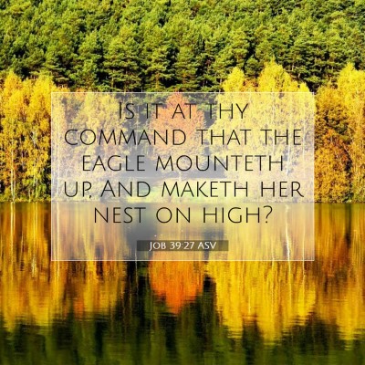 Picture 07 - Job 39:27 ASV - Is it at thy command that the eagle mounteth up, - Bible Verse Picture