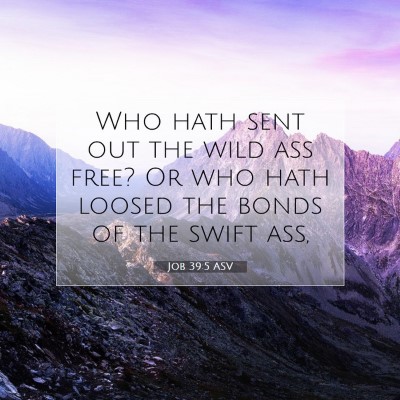Picture 07 - Job 39:5 ASV - Who hath sent out the wild ass free? Or who hath - Bible Verse Picture