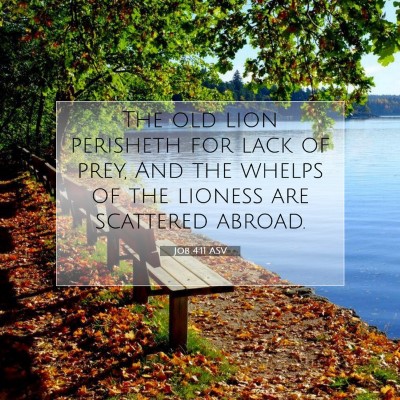 Picture 07 - Job 4:11 ASV - The old lion perisheth for lack of prey, And the - Bible Verse Picture