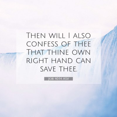 Picture 07 - Job 40:14 ASV - Then will I also confess of thee That thine own - Bible Verse Picture