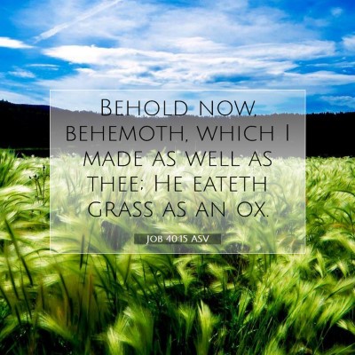 Picture 07 - Job 40:15 ASV - Behold now, behemoth, which I made as well as - Bible Verse Picture