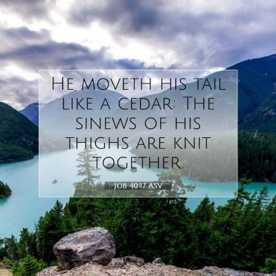 Picture 07 - Job 40:17 ASV - He moveth his tail like a cedar: The sinews of - Bible Verse Picture