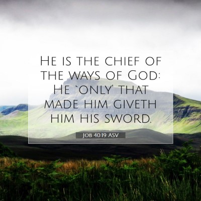Picture 07 - Job 40:19 ASV - He is the chief of the ways of God: He `only' - Bible Verse Picture