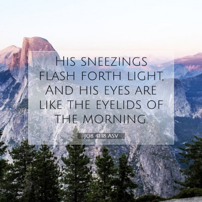Picture 07 - Job 41:18 ASV - His sneezings flash forth light, And his eyes are - Bible Verse Picture