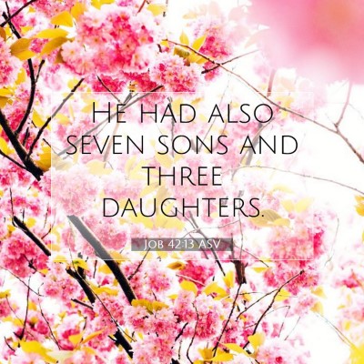 Picture 07 - Job 42:13 ASV - He had also seven sons and three - Bible Verse Picture