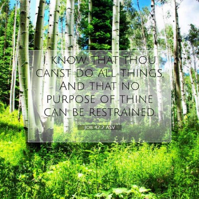 Picture 07 - Job 42:2 ASV - I know that thou canst do all things, And that no - Bible Verse Picture