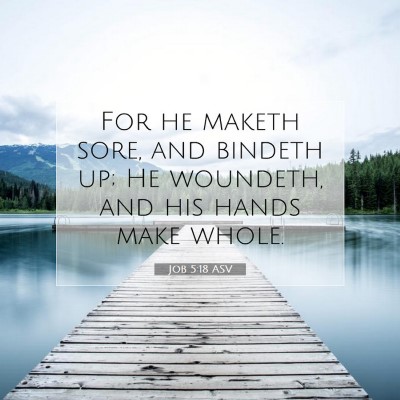 Picture 07 - Job 5:18 ASV - For he maketh sore, and bindeth up; He woundeth, - Bible Verse Picture