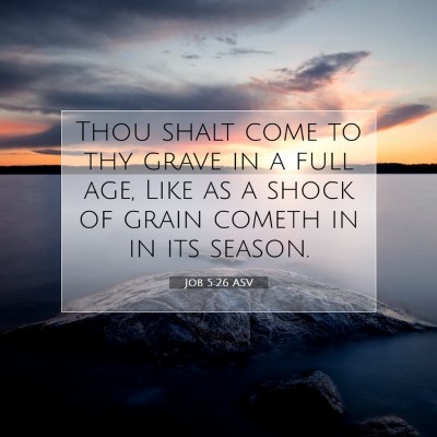 Picture 07 - Job 5:26 ASV - Thou shalt come to thy grave in a full age, Like - Bible Verse Picture