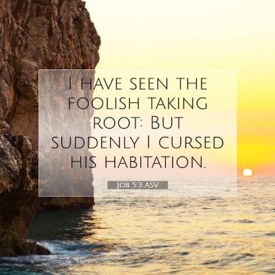 Picture 07 - Job 5:3 ASV - I have seen the foolish taking root: But suddenly - Bible Verse Picture