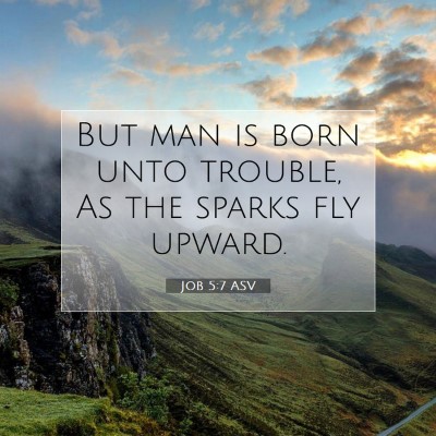 Picture 07 - Job 5:7 ASV - But man is born unto trouble, As the sparks fly - Bible Verse Picture