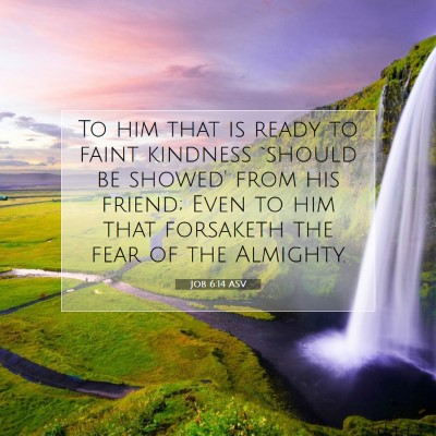 Picture 07 - Job 6:14 ASV - To him that is ready to faint kindness `should be - Bible Verse Picture