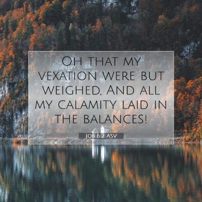 Picture 07 - Job 6:2 ASV - Oh that my vexation were but weighed, And all my - Bible Verse Picture