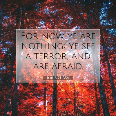 Picture 07 - Job 6:21 ASV - For now ye are nothing; Ye see a terror, and are - Bible Verse Picture
