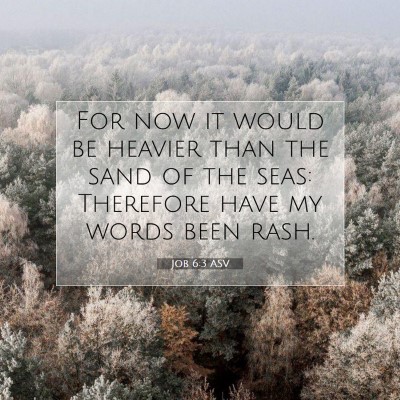 Picture 07 - Job 6:3 ASV - For now it would be heavier than the sand of the - Bible Verse Picture
