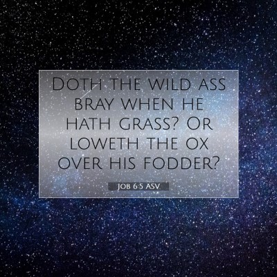 Picture 07 - Job 6:5 ASV - Doth the wild ass bray when he hath grass? Or - Bible Verse Picture