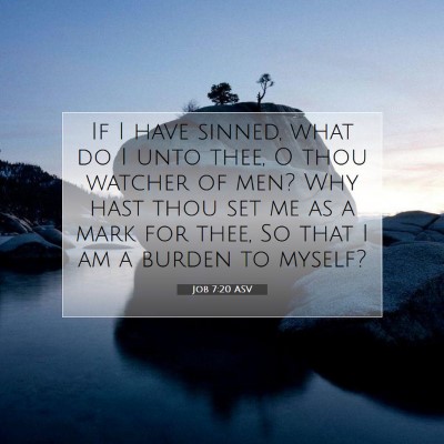 Picture 07 - Job 7:20 ASV - If I have sinned, what do I unto thee, O thou - Bible Verse Picture