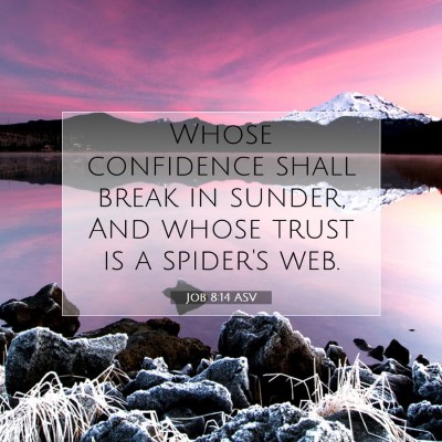 Picture 07 - Job 8:14 ASV - Whose confidence shall break in sunder, And whose - Bible Verse Picture