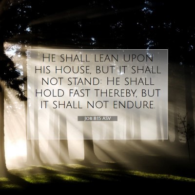 Picture 07 - Job 8:15 ASV - He shall lean upon his house, but it shall not - Bible Verse Picture