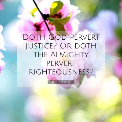 Picture 07 - Job 8:3 ASV - Doth God pervert justice? Or doth the Almighty - Bible Verse Picture