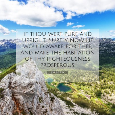 Picture 07 - Job 8:6 ASV - If thou wert pure and upright: Surely now he - Bible Verse Picture
